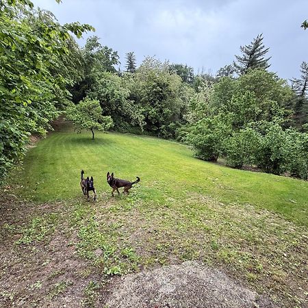 Bnb Dog And Friend Rocchetta Tanaro Экстерьер фото