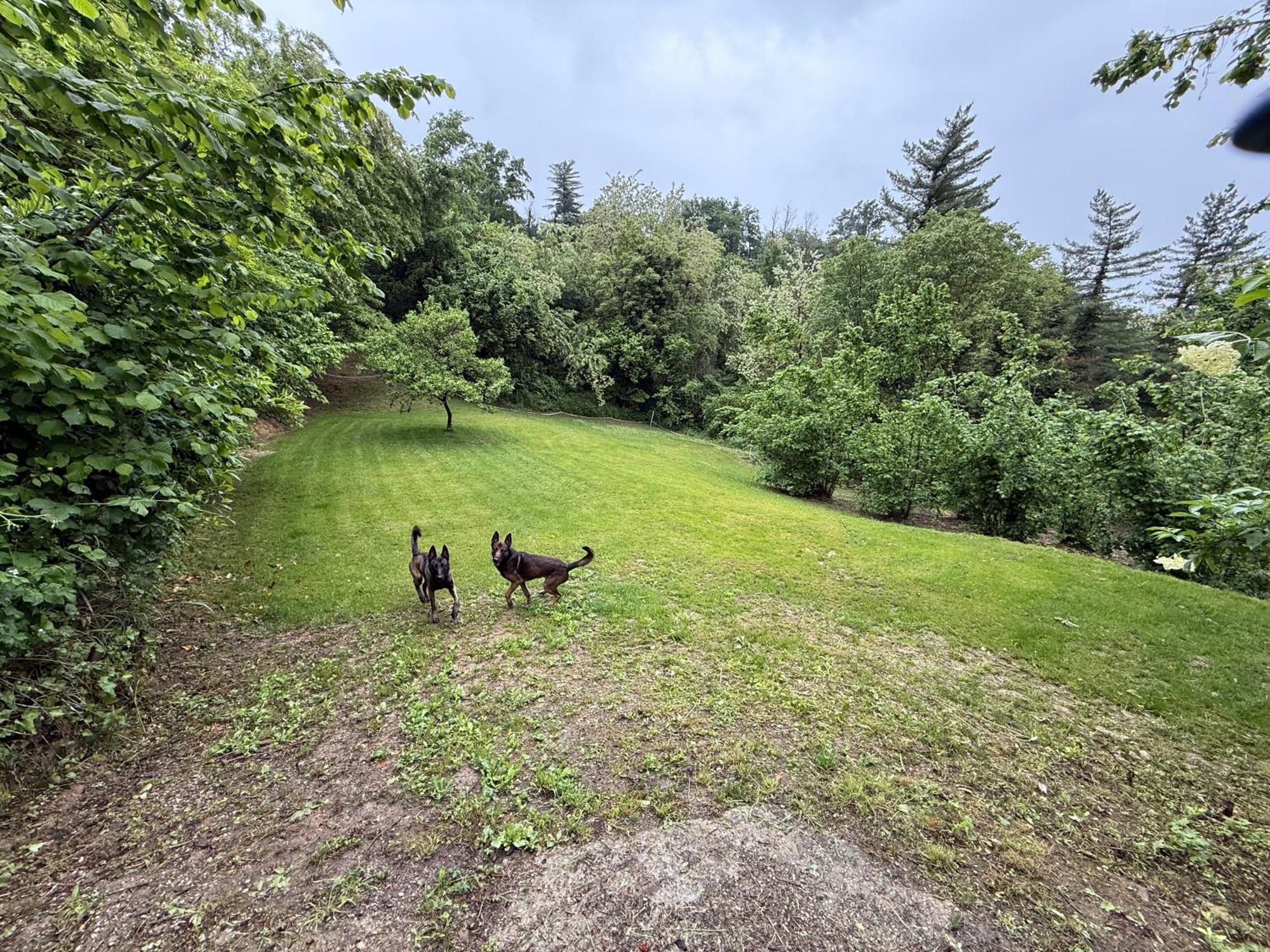 Bnb Dog And Friend Rocchetta Tanaro Экстерьер фото